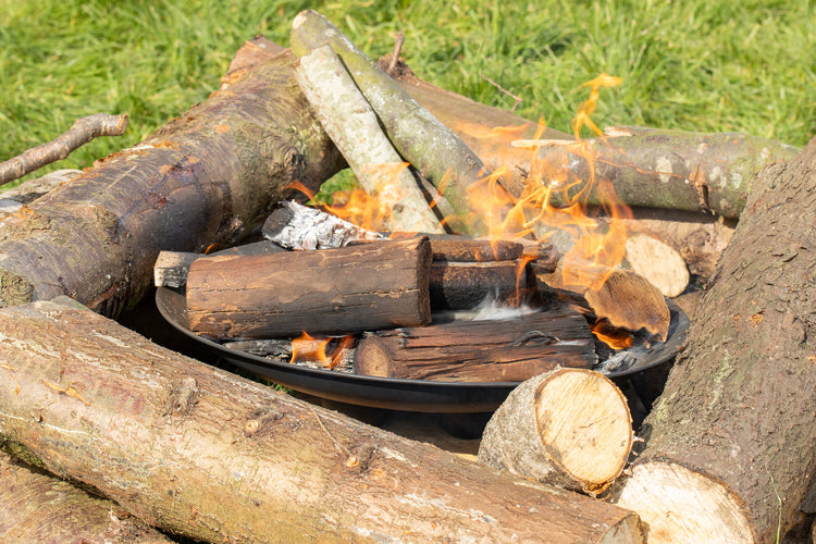 Festival Cooking