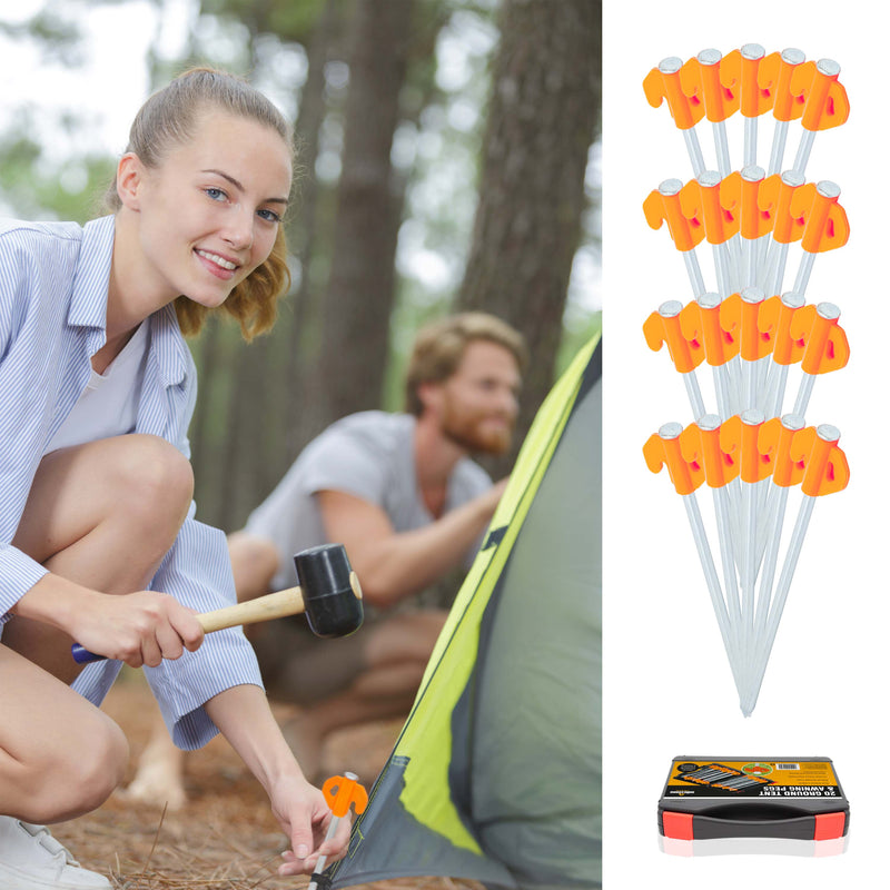 Load image into Gallery viewer, 20 Heavy Duty Tent Pegs with Carry Case
