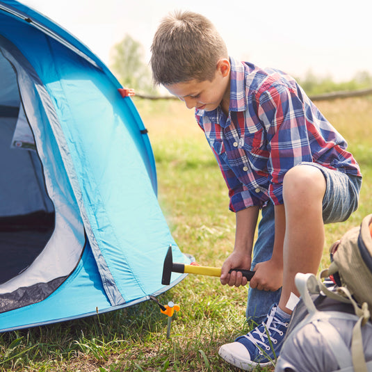 20 Heavy Duty Tent Pegs with Carry Case